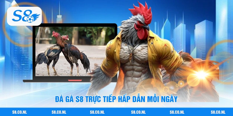 Đá Gà S8 trực tiếp hấp dẫn mỗi ngày