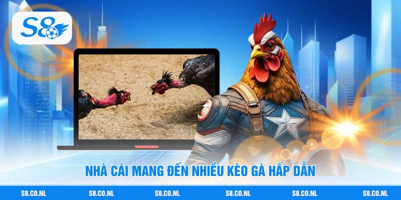 Nhà cái mang đến nhiều kèo gà hấp dẫn