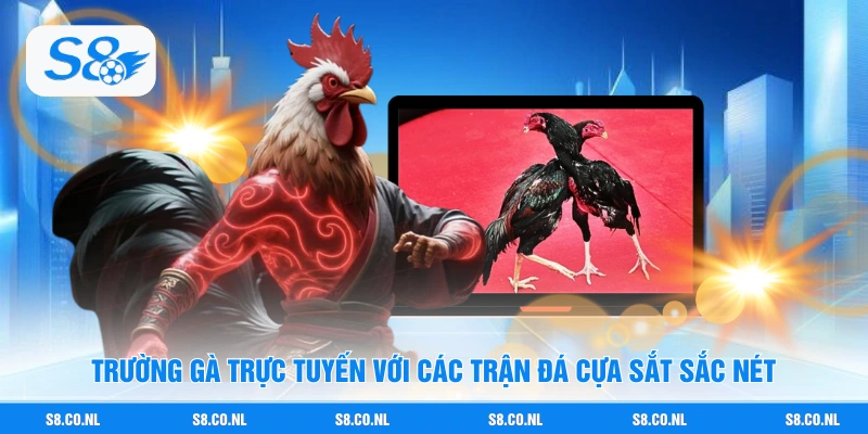 Trường gà trực tuyến với các trận đá cựa sắt sắc nét